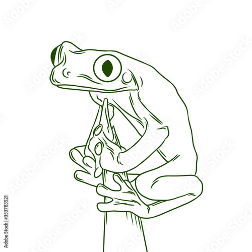 Red-eyed tree frog line drawing