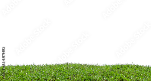 Short green grass field isolated on white background.