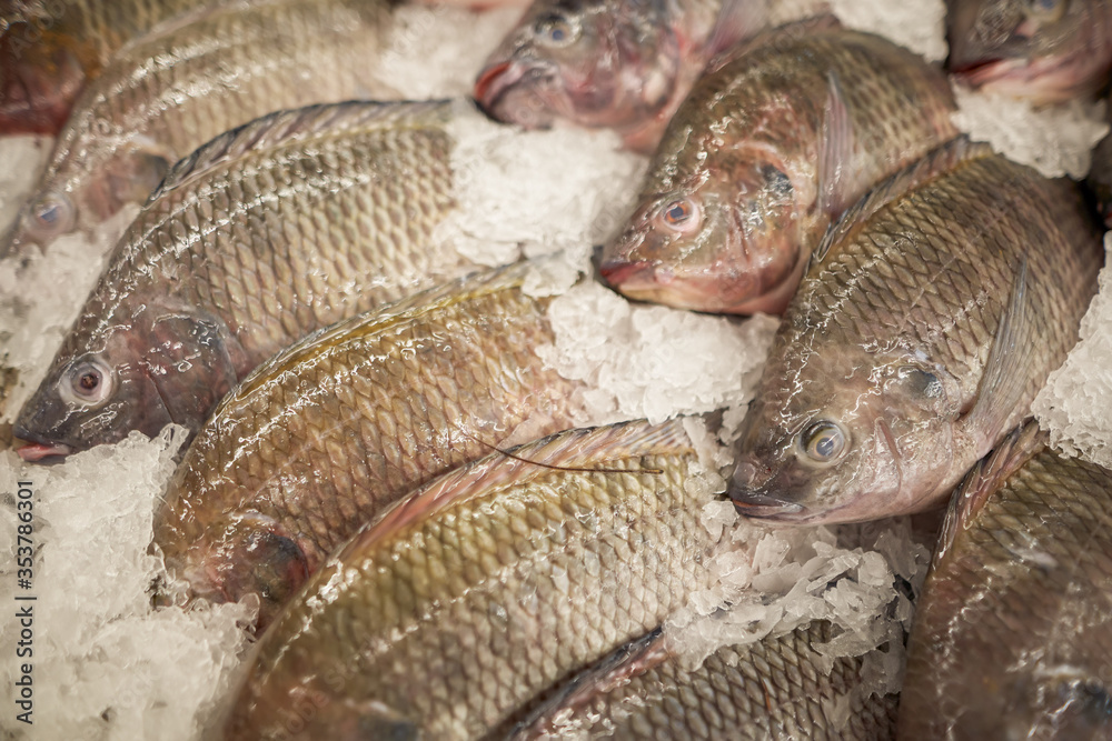 fresh chilled fish on the counter fresh chilled fish on the counter