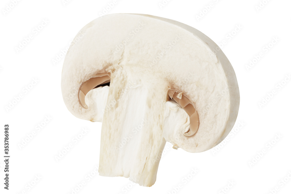cut mushroom champignon isolated on a white background. Full depth of field. Cut with the pen tool. cut mushroom champignon isolated on a white background. Full depth of field. Cut with the pen tool.