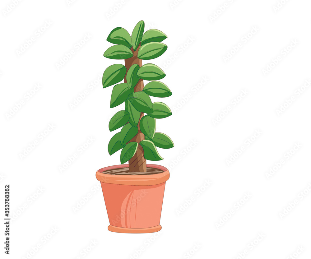a growing plant a growing plant