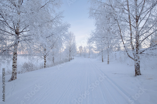 Snowy Lapland