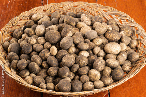 Freshly harvested natural musroom Hygroscopic earthstar from the soil in the forest collect in a bamboo basket on the wooden floor. photo