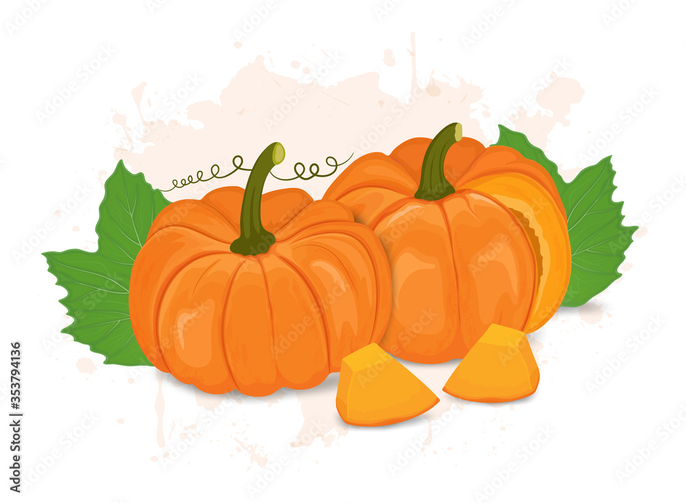 Set of two pumpkin vector illustration with pumpkin leaves Set of two pumpkin vector illustration with pumpkin leaves