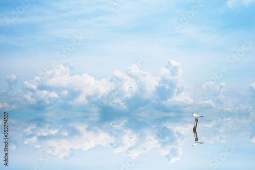 reflection bird stand on dry tree on water of lake and blue sky and white cloud