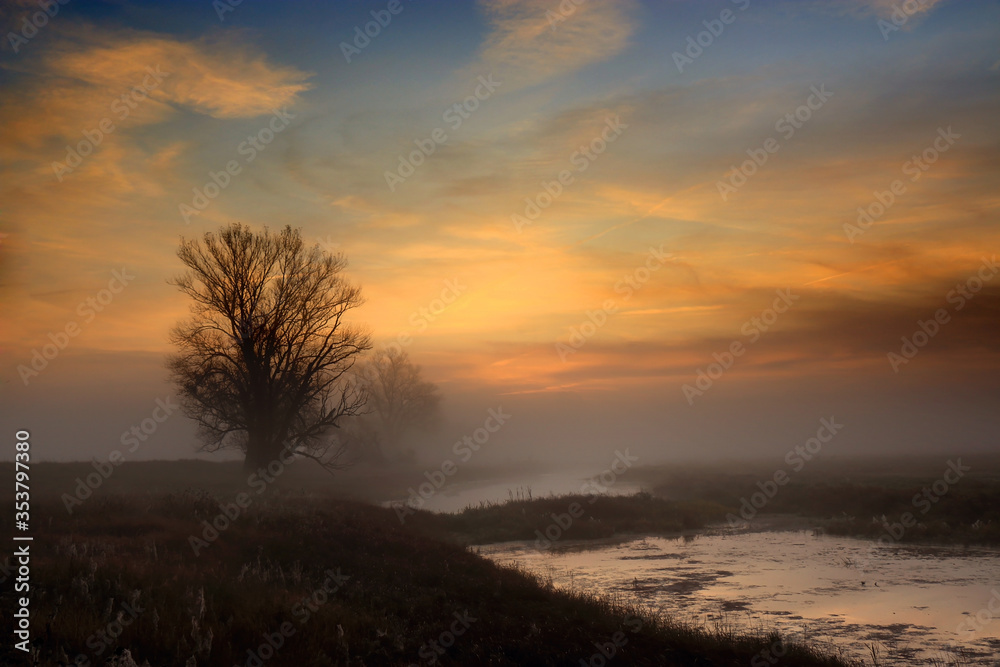 Foggy morning in the field, Poland