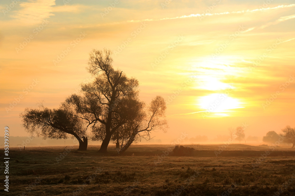 Foggy morning in the field, Poland