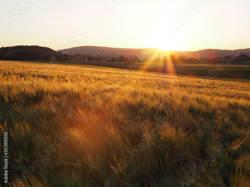 coucher de soleil sur un champs de bl   et la campagne - Suisse