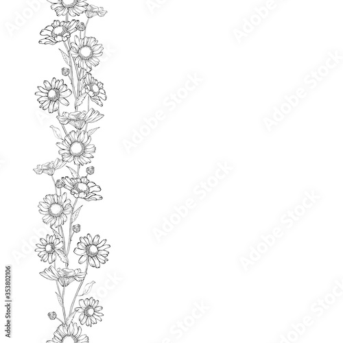 Summer border of black outline flower chamomile and leaves. Isolated on white background.  Copy space. Hand drawn. Seamless vertical brush. Sketch. Vector stock illustration.