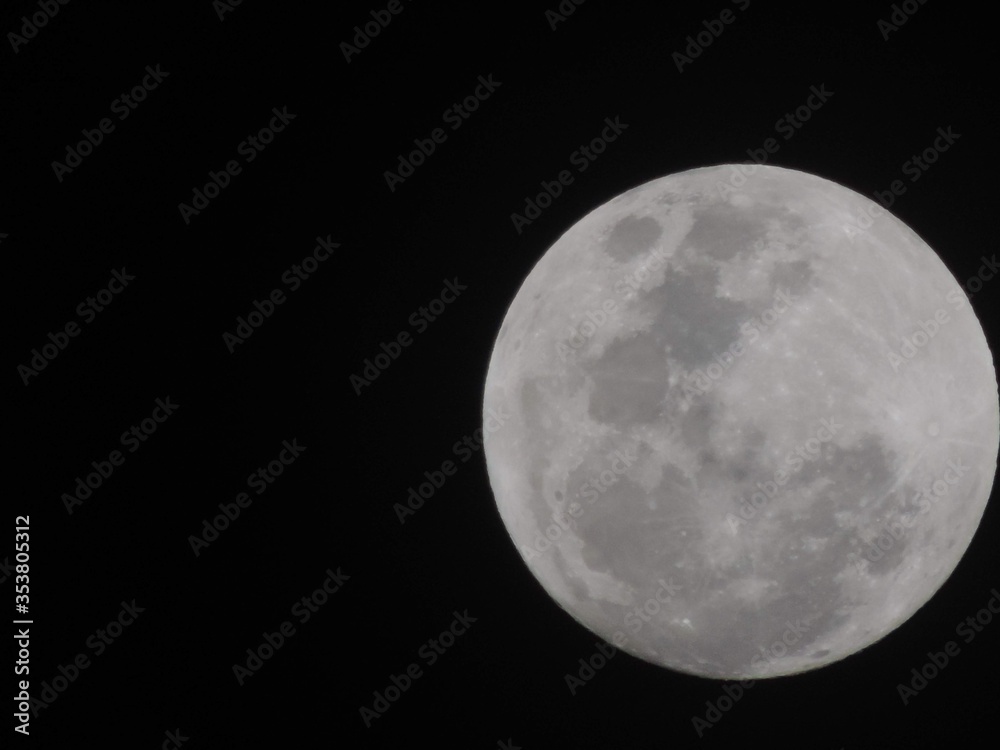 moon moon