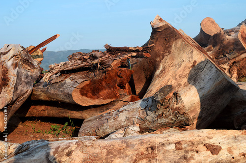 Logs, wood pile heap combined,Wooden logs in the forest, stacked in a pile . chopped tree logs stacked up on top of each other in a pile.