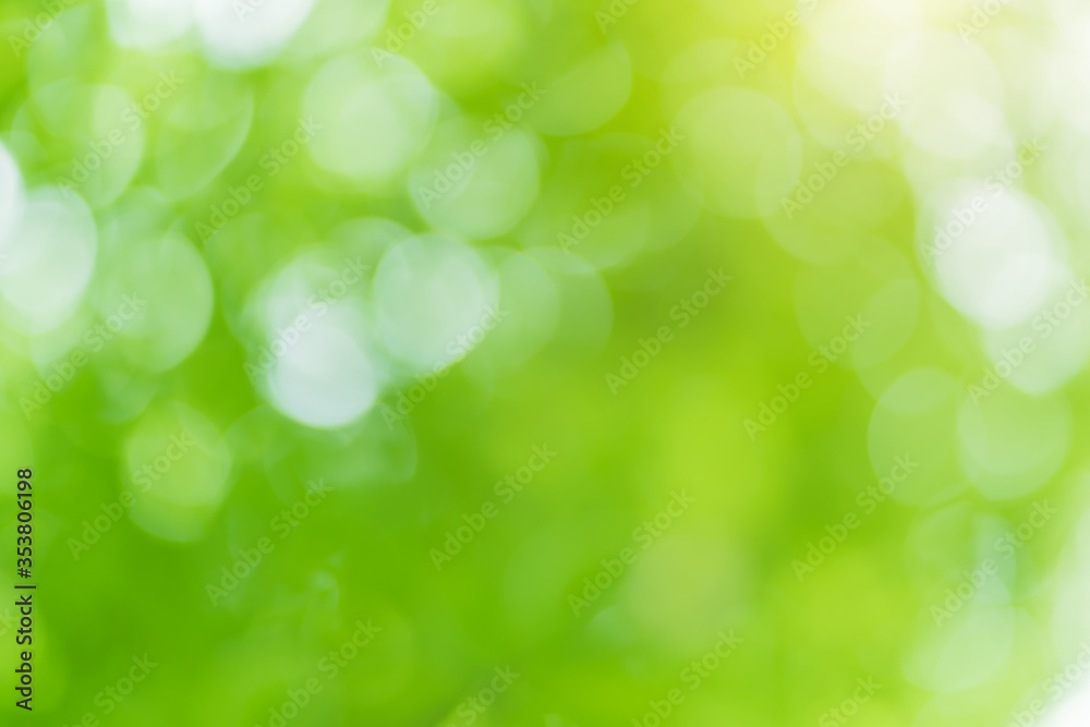 Obraz premium Bokeh foliage background.