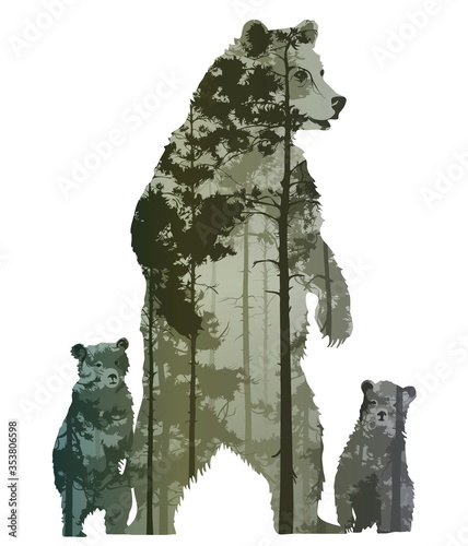 Vector image of a bear with cubs. Inside a pine forest. Isolated object
