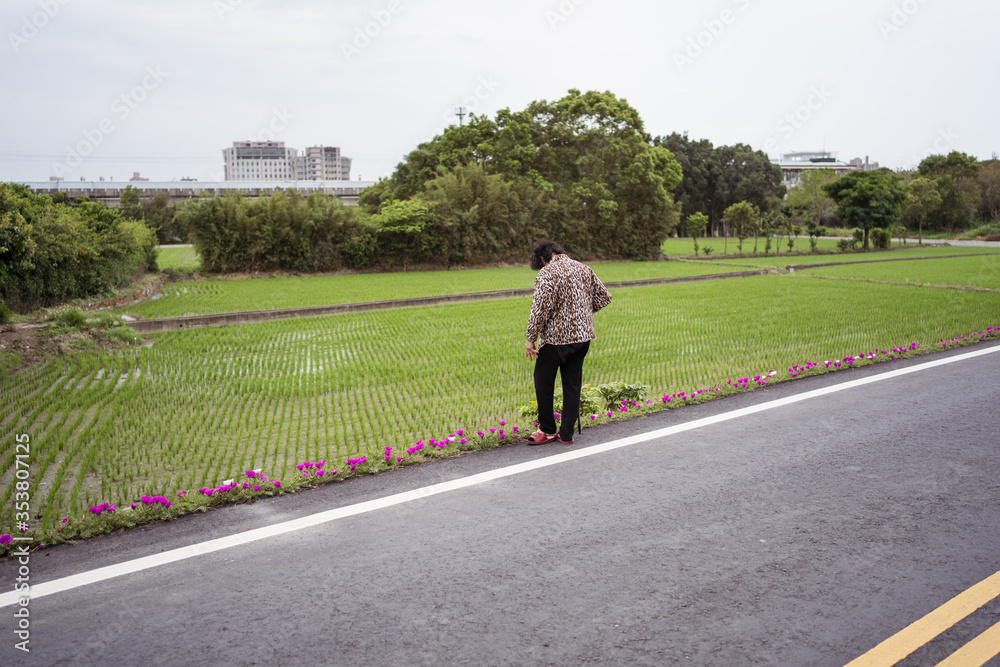 Fototapeta premium Unrecognizable woman taking care of flowers next to road