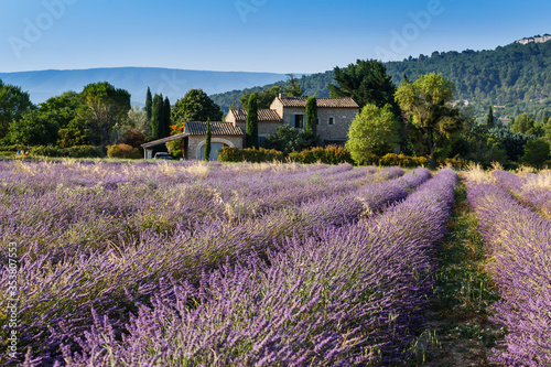 Canvas-taulu Provence, France