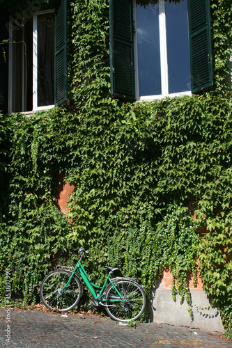 Green windows, green ivies and a green bicycle