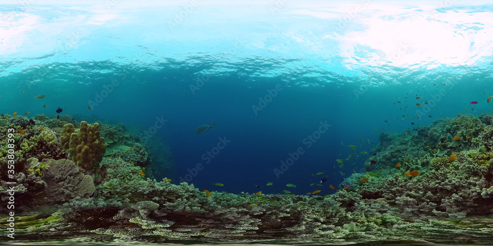 Coral reef underwater with fishes and marine life. Coral reef and tropical fish. Panglao, Philippines.