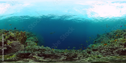 Coral reef underwater with fishes and marine life. Coral reef and tropical fish. Panglao  Philippines.