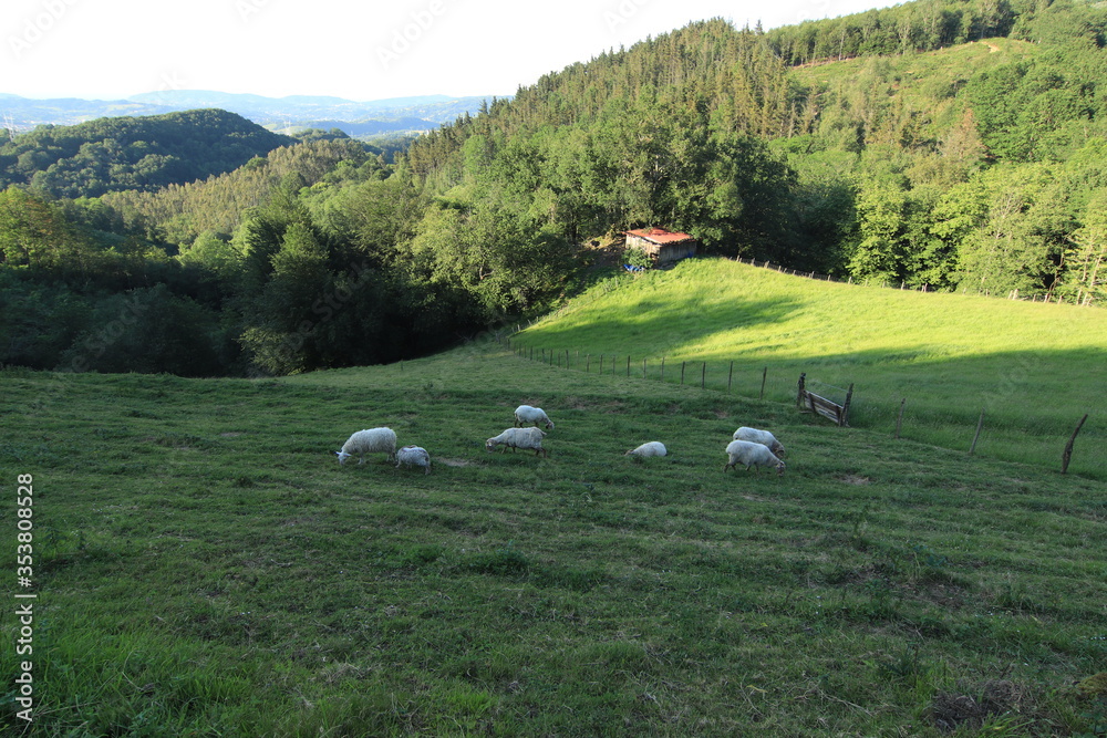 Entorno de paisajes del Monte Adarra próximo a la puesta de sol