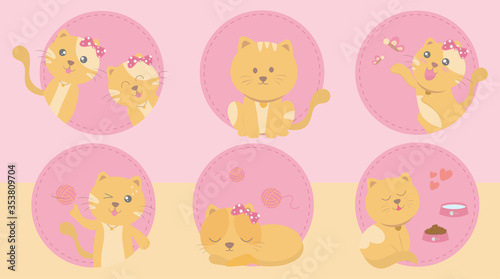 The lifestyle of all 6 cats. On holidays, there are toys, eating and sleeping. vector illustration flat design style.Pet shop poster design with many accessories