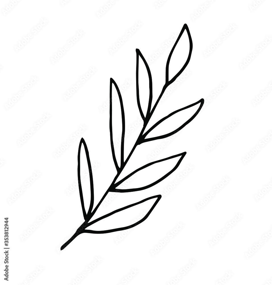 Single hand-drawn branches with leaves for decorating cards, presentations, invitations. Doodle vector illustration. Isolated on white background Single hand-drawn branches with leaves for decorating cards, presentations, invitations. Doodle vector illustration. Isolated on white background