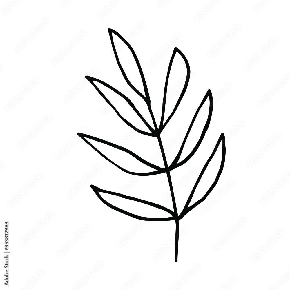Single hand-drawn branches with leaves for decorating cards, presentations, invitations. Doodle vector illustration. Isolated on white background