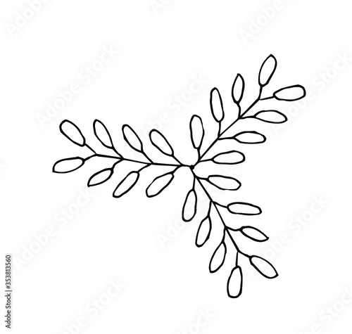 Single Botanical elements for the preparation of the compositions. Twigs and leaves make elements for invitation frames, greeting cards, posters, blogs. Hand-drawn illustration. Line art. Sketch.