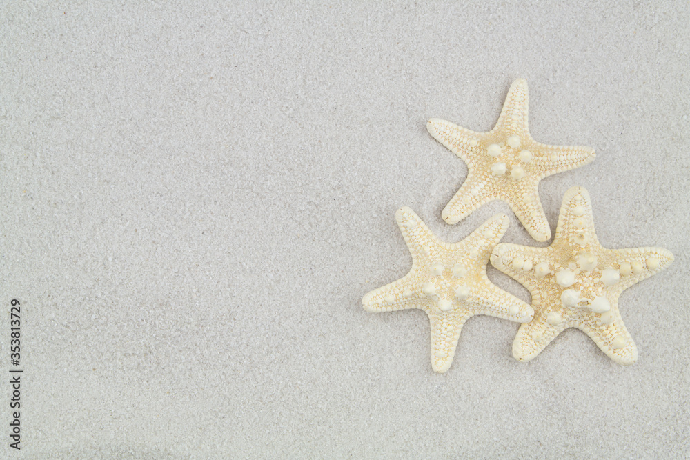Three starfishes on white sand background with space for text Three starfishes on white sand background with space for text