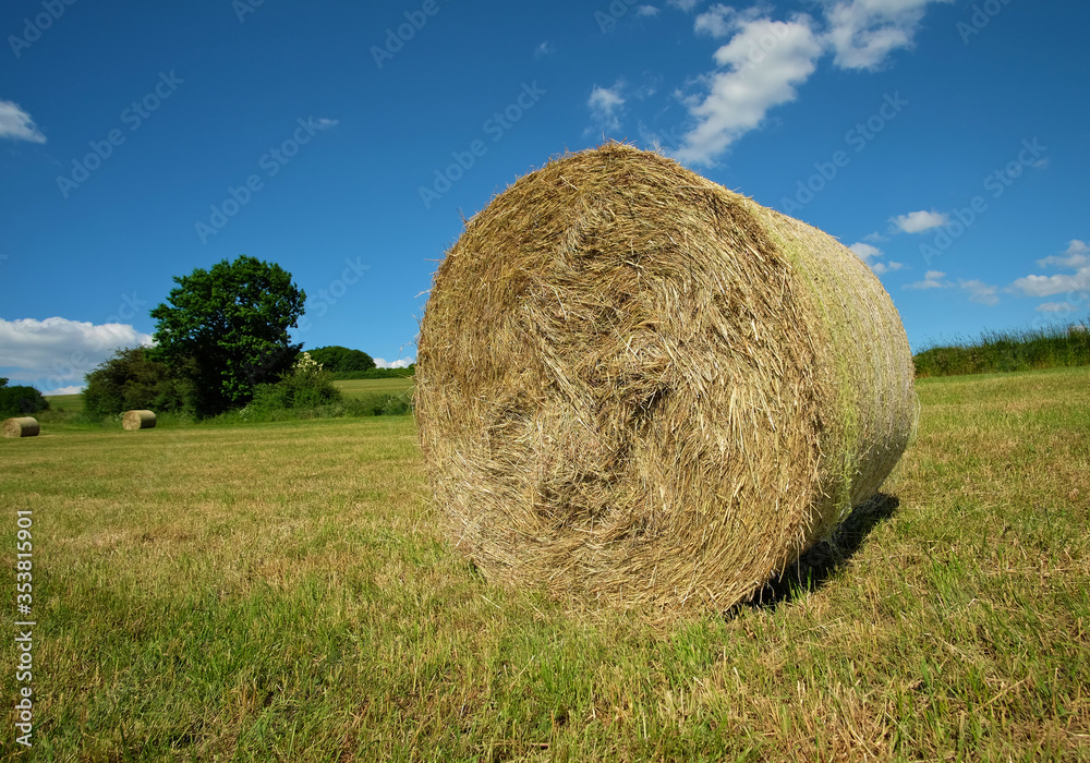 A round bale of straw on a field