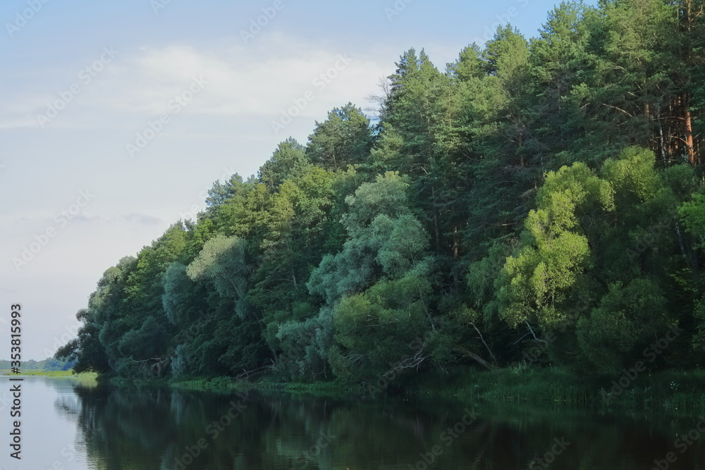 The Bank of a beautiful river, overgrown with dense forest. Green forest on a steep Bank. A great place for recreation and fishing. Early morning on the beach