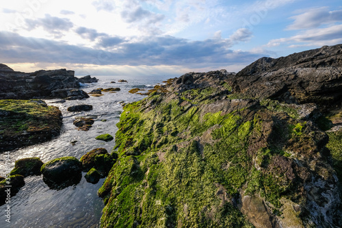 城ヶ島の海