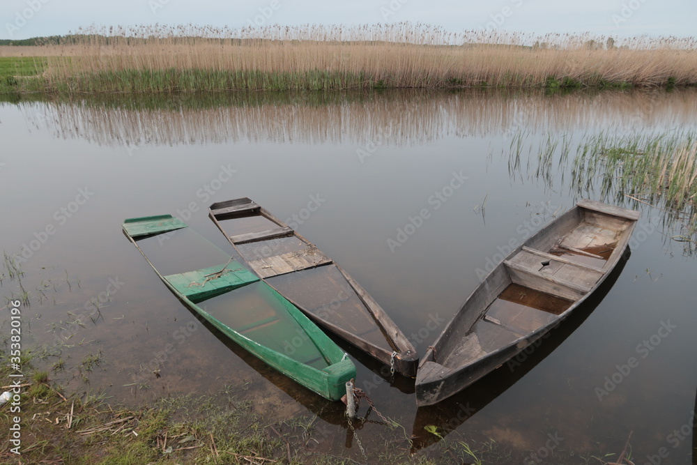 Sunken boats in the Biebrza river in Poland