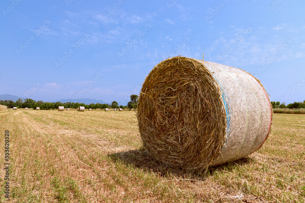 Hay rolls on a village field in northern Italy. Beautiful sunny spring day Hay rolls on a village field in northern Italy. Beautiful sunny spring day