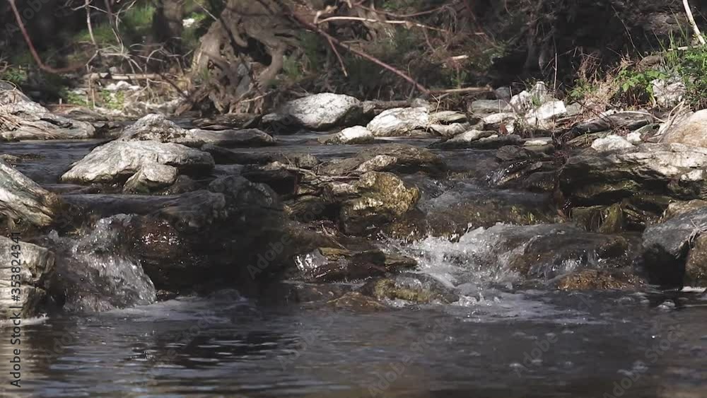 A freshwater stream with crystal clear water flows between the rocks. Close up A freshwater stream with crystal clear water flows between the rocks. Close up
