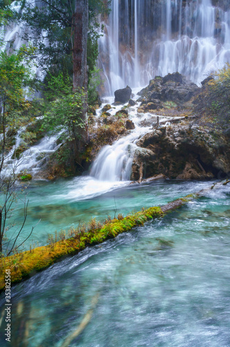 Beautiful and fresh scenery at  waterfall with cascade  green algae  reflection and trees at Jiuzhaigou Valley National Park.