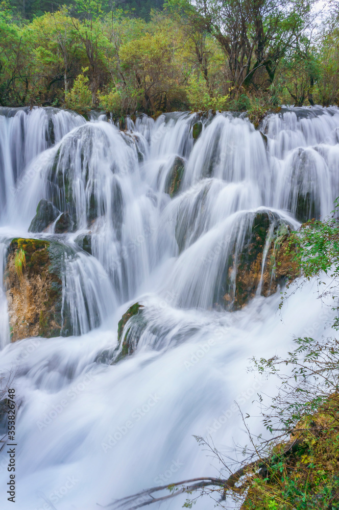 Fototapeta premium Piękna i świeża sceneria wodospadu z kaskadą, zielonymi algami, mchem i drzewami w Jiuzhaigou Valley National Park.