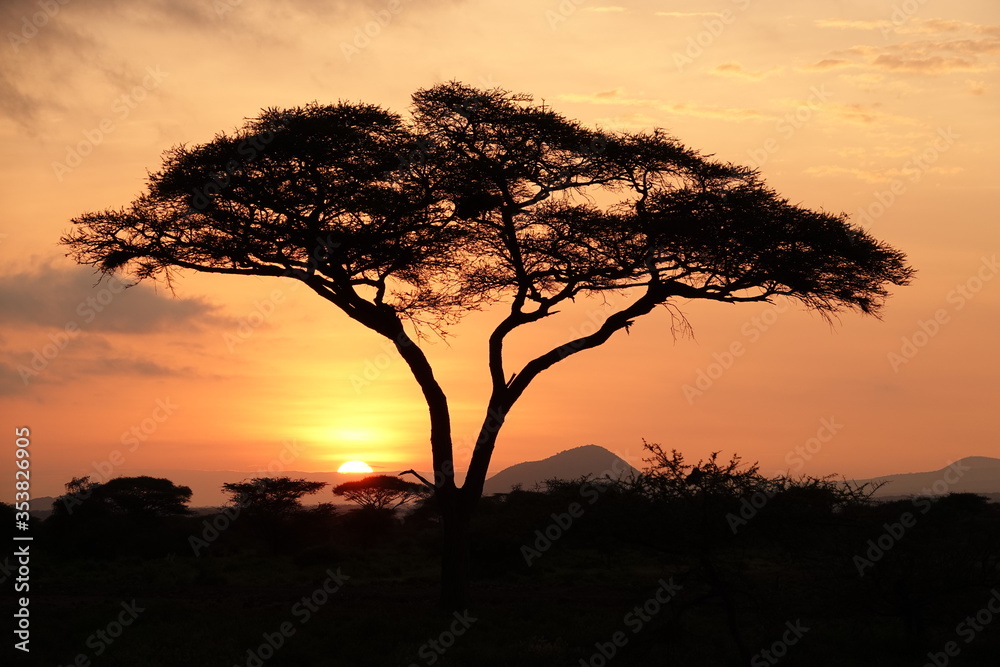 Sonnenaufgang Amboseli Ökosystem Tansania 