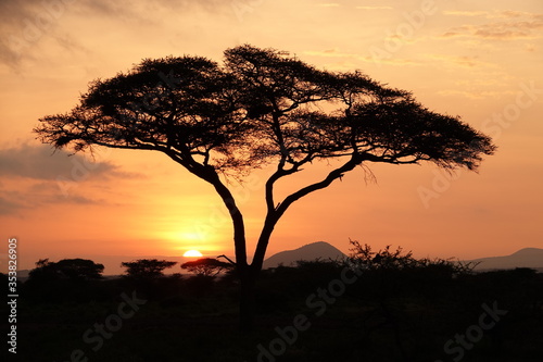 Sonnenaufgang Amboseli   kosystem Tansania 