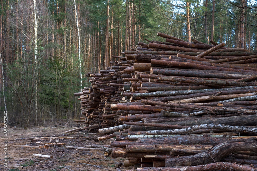 Logs stacked on logging and woodworking industry. A stock pile of timber, chopped down trees. Timber industry. De-forestation. Logs stacked on logging and woodworking industry. A stock pile of timber, chopped down trees. Timber industry. De-forestation.