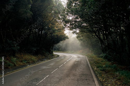 Road on a foggy morning in the mountains