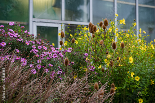 many different summer greens and flowering plants on the background of the window