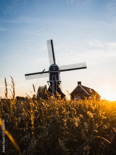 dutch windmill  photo