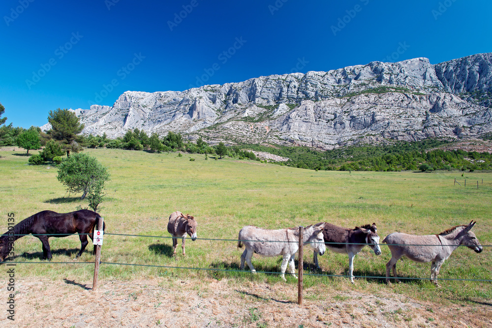 Sainte Victoire Mountain is a mountainous massif in southern France famous for Paul Cezanne's paintings. Sainte Victoire Mountain is a mountainous massif in southern France famous for Paul Cezanne's paintings.