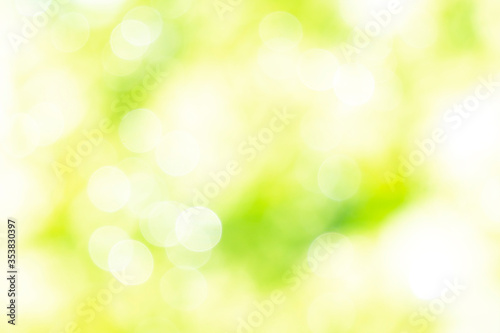 Sunny defocused green nature background, abstract bokeh effect es element for your design. © Yurii