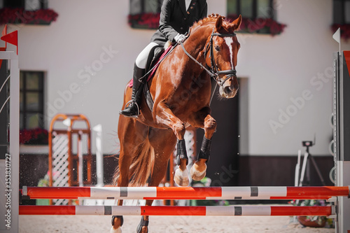 A beautiful sorrel racehorse with a rider in the saddle jumps over the red barrier at a show jumping competition on a Sunny summer day.