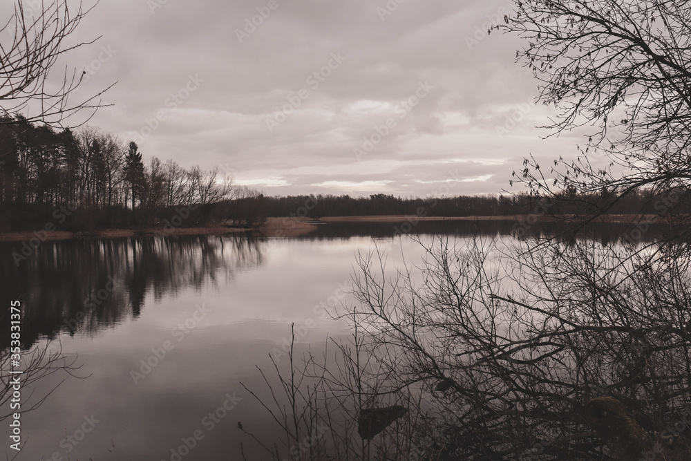 Fototapeta premium reflection of trees in the water