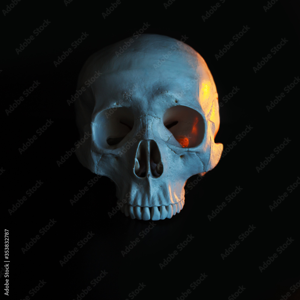 Skull. Human skull with with color toning. Black background. Skull. Human skull with with color toning. Black background.