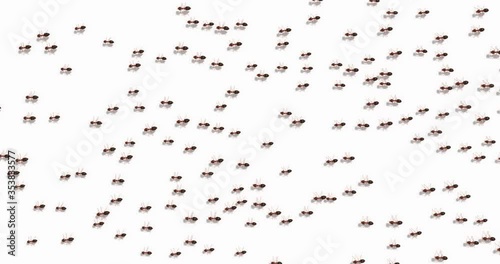 Thousands of ants marching, 3D animation with alpha channel