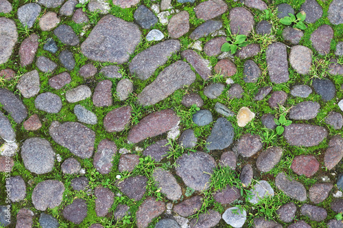 stone texture road with green grass