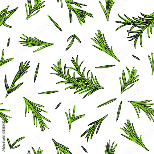 Rosemary seamless pattern. Vector illustration of Salvia rosmarinus for wrapping paper, fabric print, wallpaper, textile, kitchen cloth, restaurant cafe menu